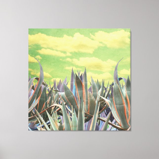 Impressão Em Tela Pastel Agave Cactus contra o céu nublado Colagem (Frente)