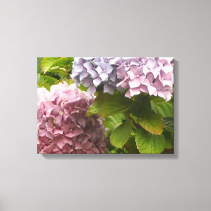 Impressão Em Tela Pastel Hydrangeas