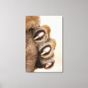 Impressão Em Tela Pata de Tigre