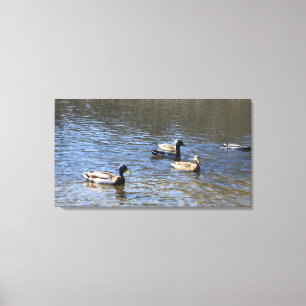 Impressão Em Tela patos na água
