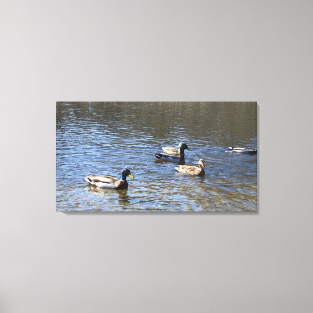 Impressão Em Tela patos na água (Frente)