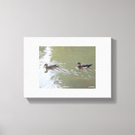 Impressão Em Tela Patos Nadando