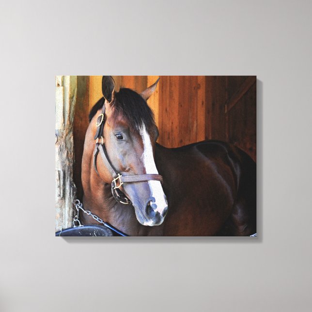 Impressão Em Tela Patriota Americano (Frente)