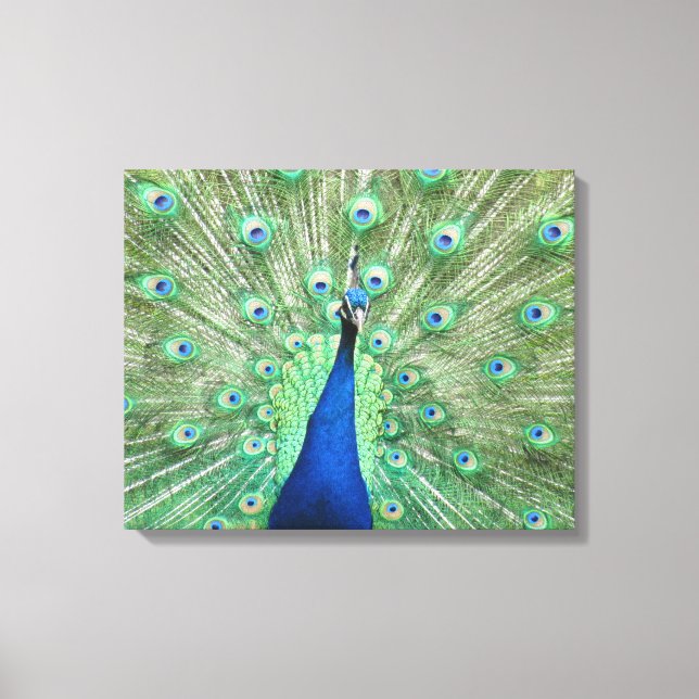 Impressão em tela - Pavão com Cauda Abertas (Frente)