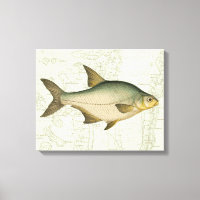 Peixe água fresca no Mapa