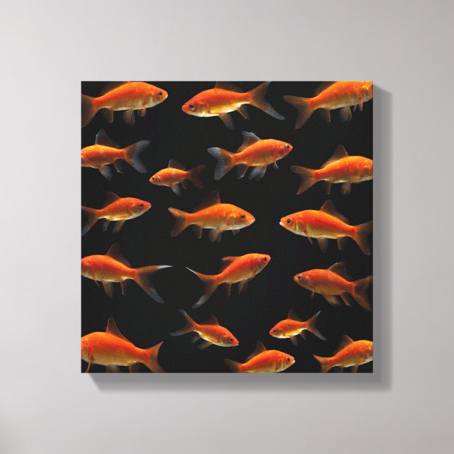 Impressão Em Tela Peixe-Goldfish 3 (Frente)