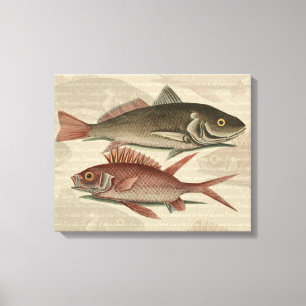 Impressão Em Tela Peixe Perca Vermelha Arte de Pescador