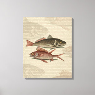 Impressão Em Tela Peixe Red Perch Pescador Art