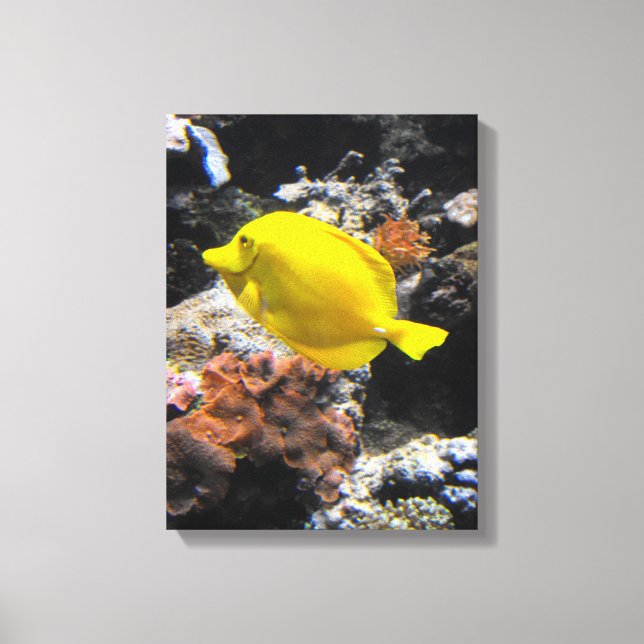 Impressão Em Tela Peixe tangue amarelo (Frente)
