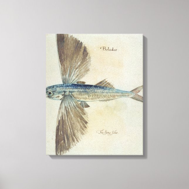 Impressão Em Tela Peixe Voador (Frente)