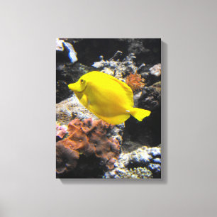 Impressão Em Tela Peixes amarelos da espiga
