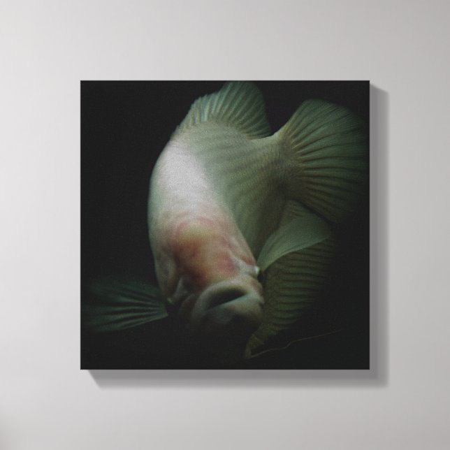 Impressão Em Tela Peixes no Retrato do Tanque (Frente)