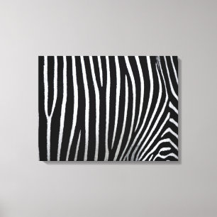 Impressão Em Tela Pele Zebra