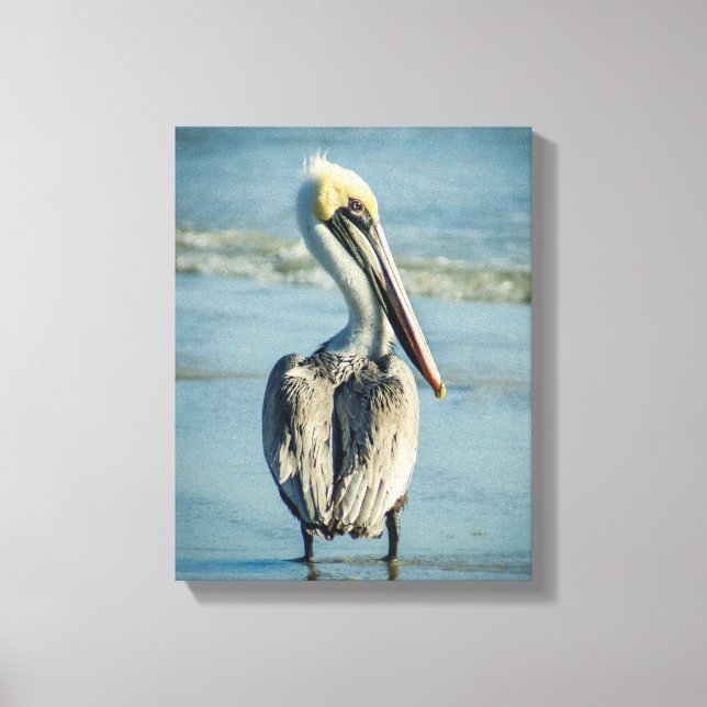 Impressão Em Tela Pelican em uma praia na Flórida (Frente)