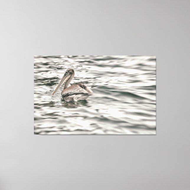 Impressão Em Tela Pelicano castanho na água (Frente)