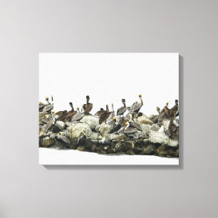 Impressão Em Tela Pelicanos