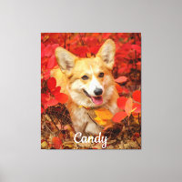 Pembroke Welsh Corgi Puppy Dog em Folhas Vermelhas
