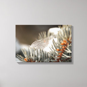 Impressão Em Tela Pena De cinzas No Ramal De Neve Evergreen