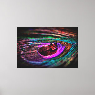 Impressão Em Tela Pena de Peacock Fotografia de Wall Art Luxury