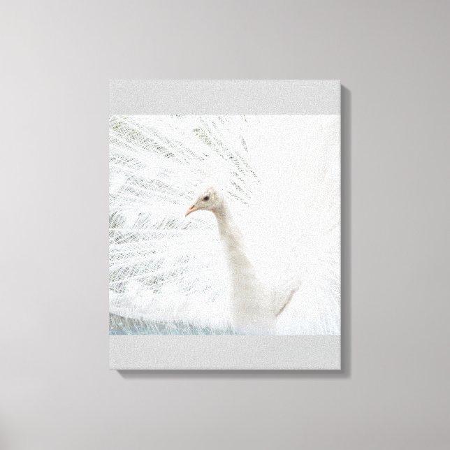 Impressão Em Tela Penas bonitas de Peacock Branco (Frente)
