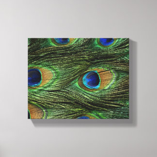 Impressão Em Tela Penas de Peacock