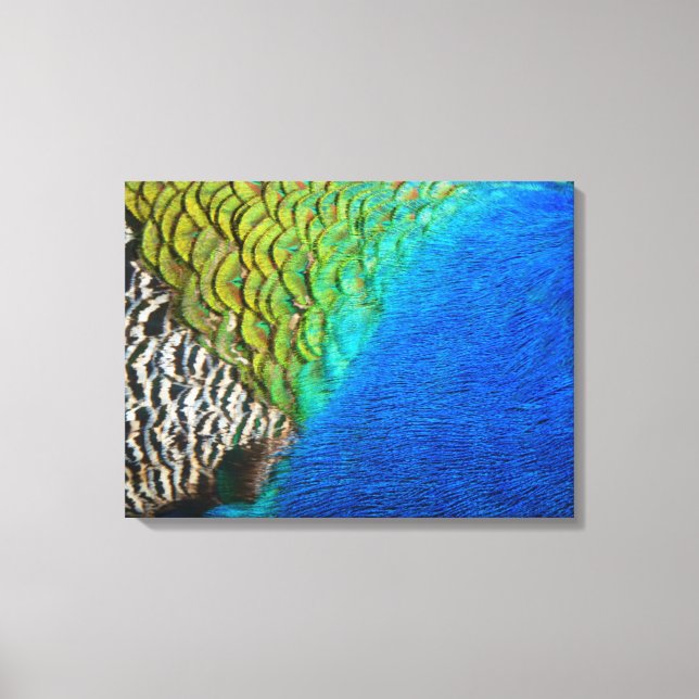 Impressão Em Tela Penas de Peacock IV Abstrato (Frente)