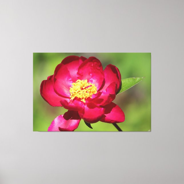 Impressão Em Tela Peony Rosa Escuro (Frente)
