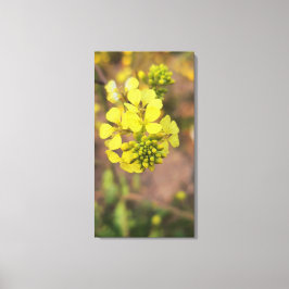 Impressão Em Tela pequena flor amarela coleção de flora da primavera