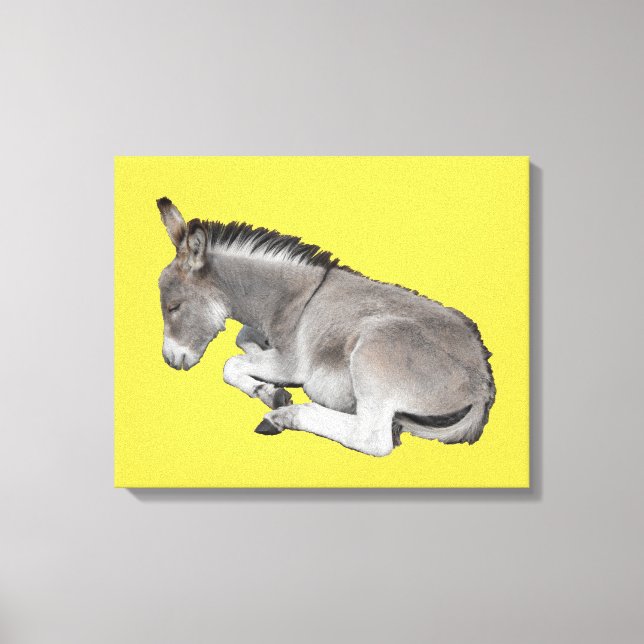 Impressão Em Tela Pequeno bebê burro dormindo (Frente)