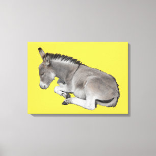 Impressão Em Tela Pequeno bebê burro dormindo
