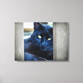 Impressão Em Tela Pequeno Gatinho Preto