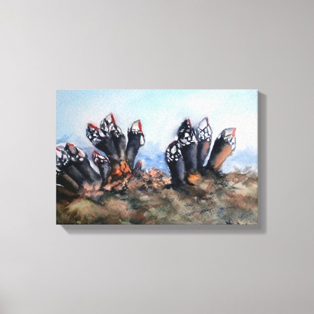 Impressão Em Tela Percebes/Barnacles (Frente)