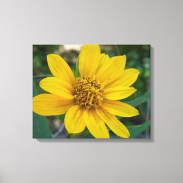 Impressão Em Tela Perfeição Floral no Amarelo Sol