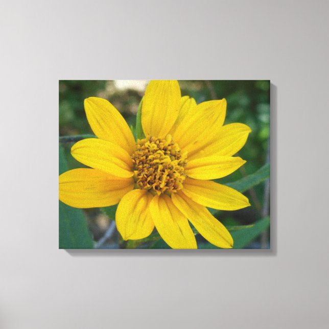 Impressão Em Tela Perfeição Floral no Amarelo Sol (Frente)