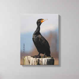 Impressão Em Tela Perfil de um Cormorão de Crista Dupla