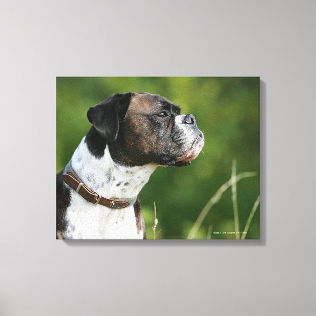 Impressão Em Tela Perfil do cão-boxer (Frente)