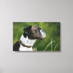 Impressão Em Tela Perfil do cão do pugilista