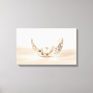 Impressão Em Tela pérola no seashell