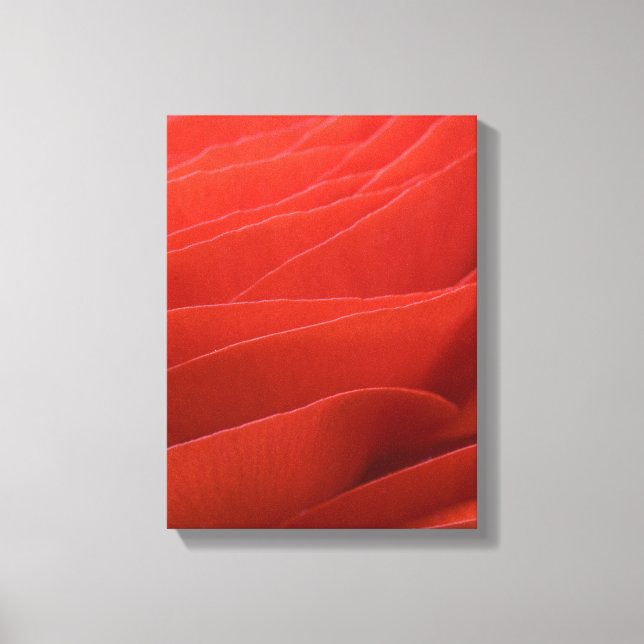 Impressão Em Tela Pérolas de Flores Vermelhas Ranunculus (Frente)