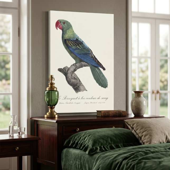 Impressão Em Tela Perroquet a bec couleur cantou / papagaio-Excelent (Great-Billed Parrot, Tanygnathus Megalorynchos. Canvas Print)