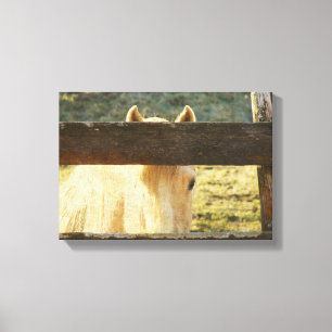 Impressão Em Tela Pesa Pela Cerca