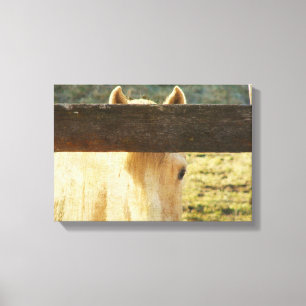 Impressão Em Tela Pesa Pela Cerca