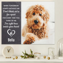 Pet Memorial - Pet Loss Keepsaoke Foto