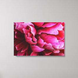 Impressão em Tela Pétalas de Peônia Rosa