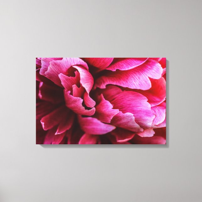 Impressão em Tela Pétalas de Peônia Rosa (Frente)