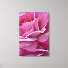 Impressão em Tela Pétalas de Rosa Rosa e Gotículas