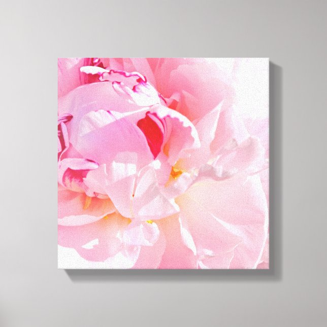 Impressão Em Tela pétalas rosa suave (Frente)