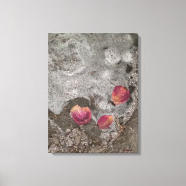 Impressão Em Tela Petals Ashore