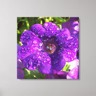 Impressão Em Tela Petunia roxa em tela de Chá em chuva