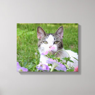 Impressão Em Tela Petunias cor-de-gatinho e rosa